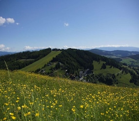 Shortstay vacation rentals Austria