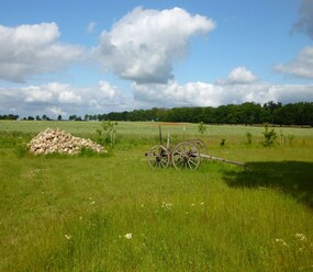 Shortstay vacation rentals Germany
