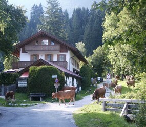 Shortstay vacation rentals Germany