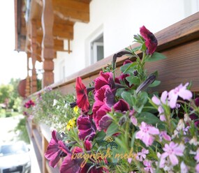 Shortstay vacation rentals Germany