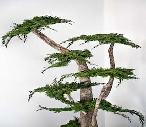 Shortstay vacation rentals Monaco