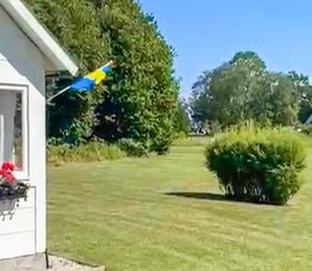 Shortstay vacation rentals Sweden