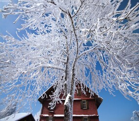 Shortstay vacation rentals Switzerland