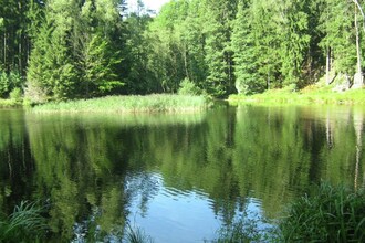 Landhaus Rynartice