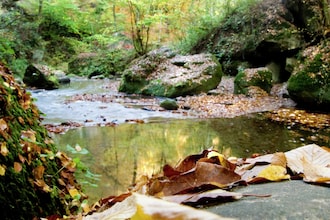 Wasser