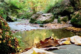 Wasser