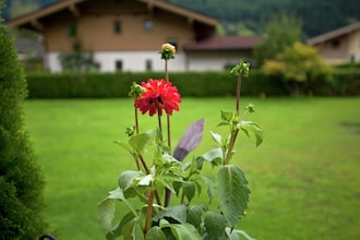 Smaragd Chalet
