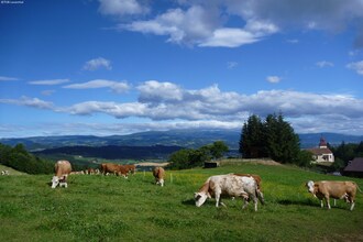 Klippitztörl 355/359
