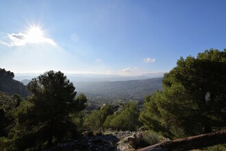 Cortijo del Alcázar