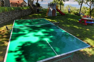 Caprifoglia
