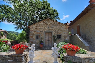 Caprifoglia
