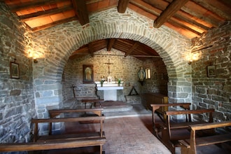 Caprifoglia