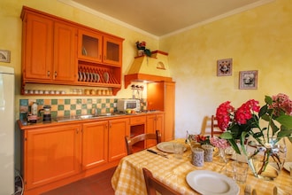 Caprifoglia