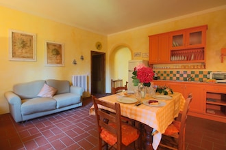 Caprifoglia