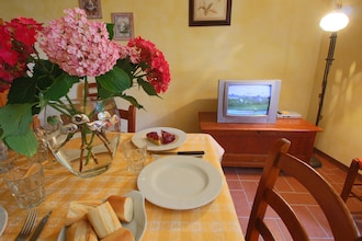 Caprifoglia