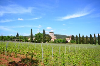 La Civetta