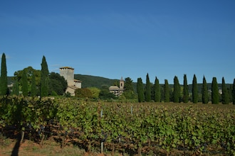 La Civetta