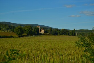 La Civetta