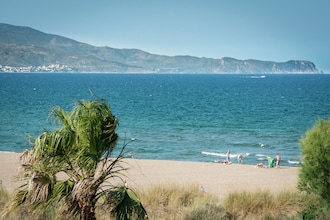 Camp Pilans Nou