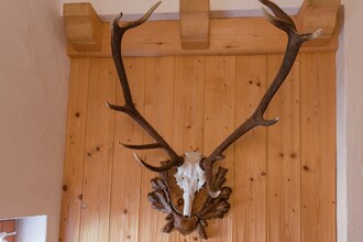 Chalet Vielehen