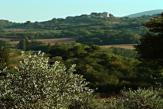 Moriano