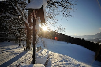 Chalets im Brixental V