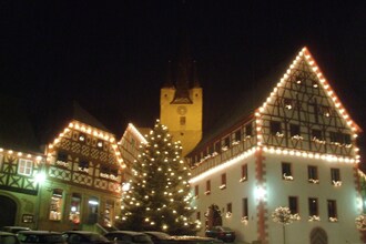 Wilder Wein