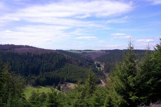 Waldhäuschen