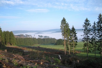 Waldhäuschen