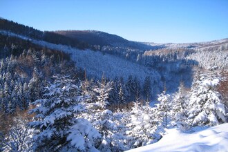 Waldhäuschen