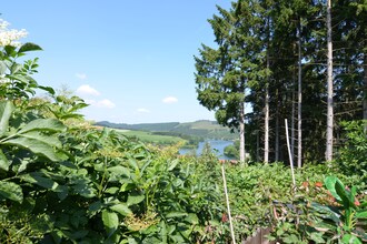 Ferienhaus Diemelsee