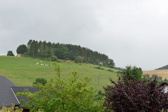 Ferienhaus Diemelsee