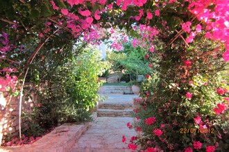 Villa Almond