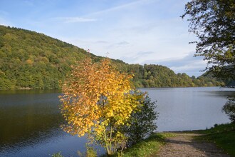 Engel
