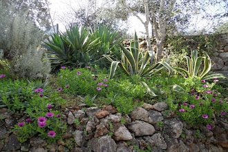 Casa Volta
