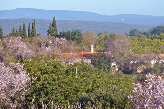 Quinta Quigima