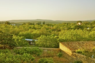 Quinta Quigima