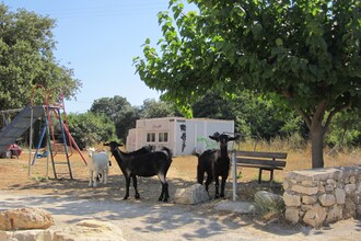 Villa Cocoon