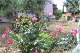 Villa Athina