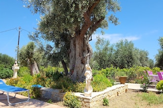 Villa Afroditi