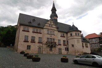 Waldblick