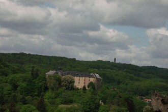 Waldblick