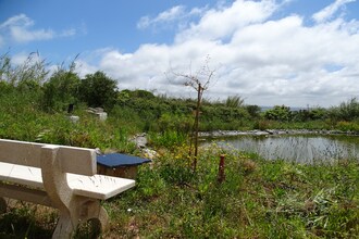 Villa Cabana