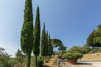 Cacciatore