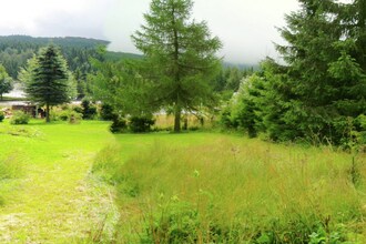 Kleiner Inselsberg