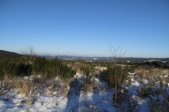 Am Teich