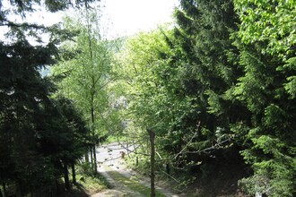 Eifel Natur III