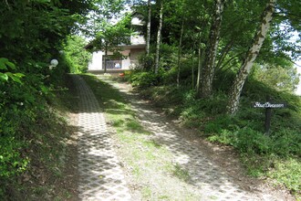 Eifel Natur III