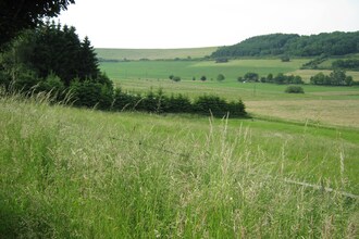 Eifel Natur III