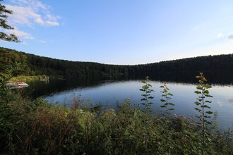 Eifel Natur III